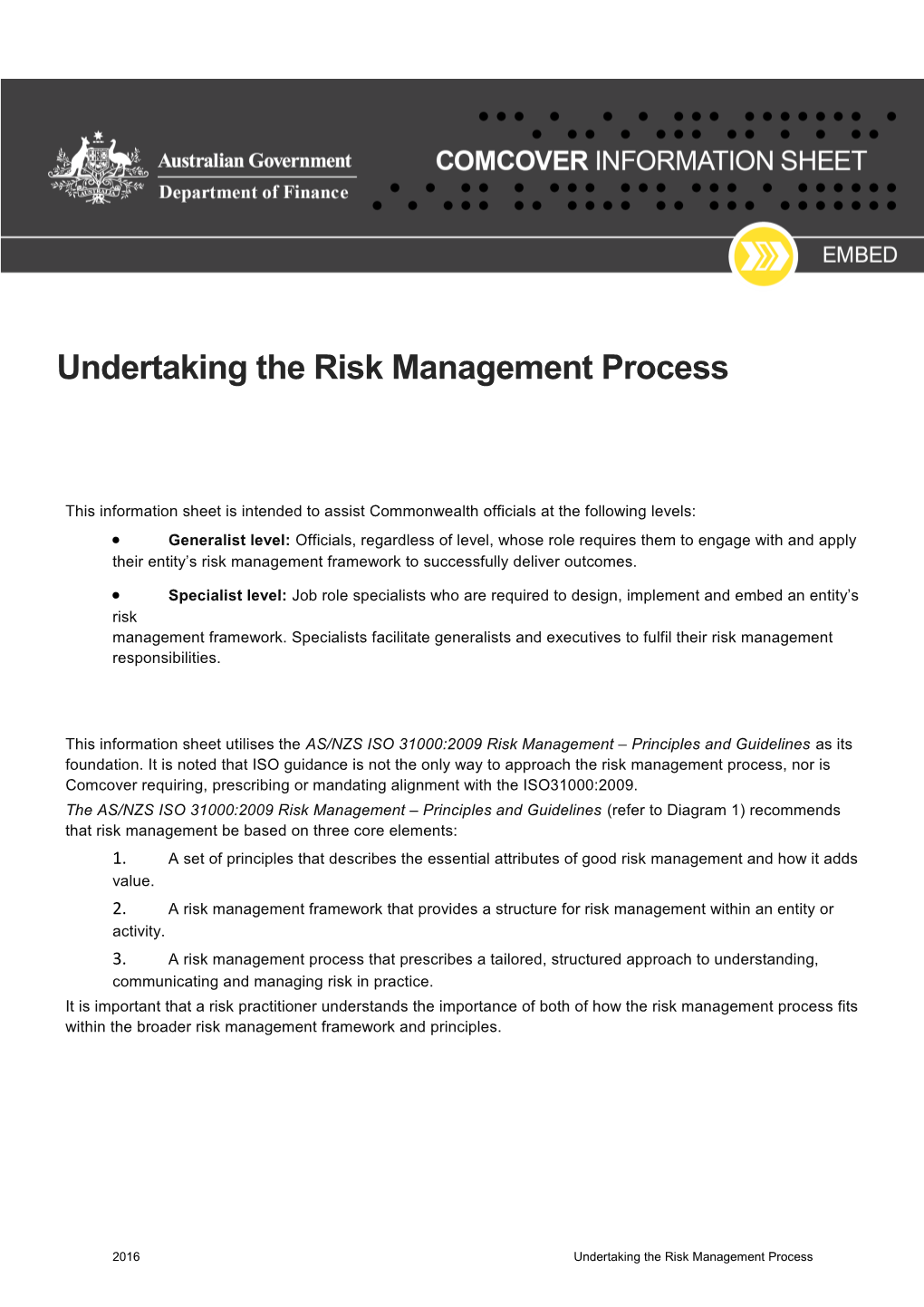 Undertaking the Risk Management Process