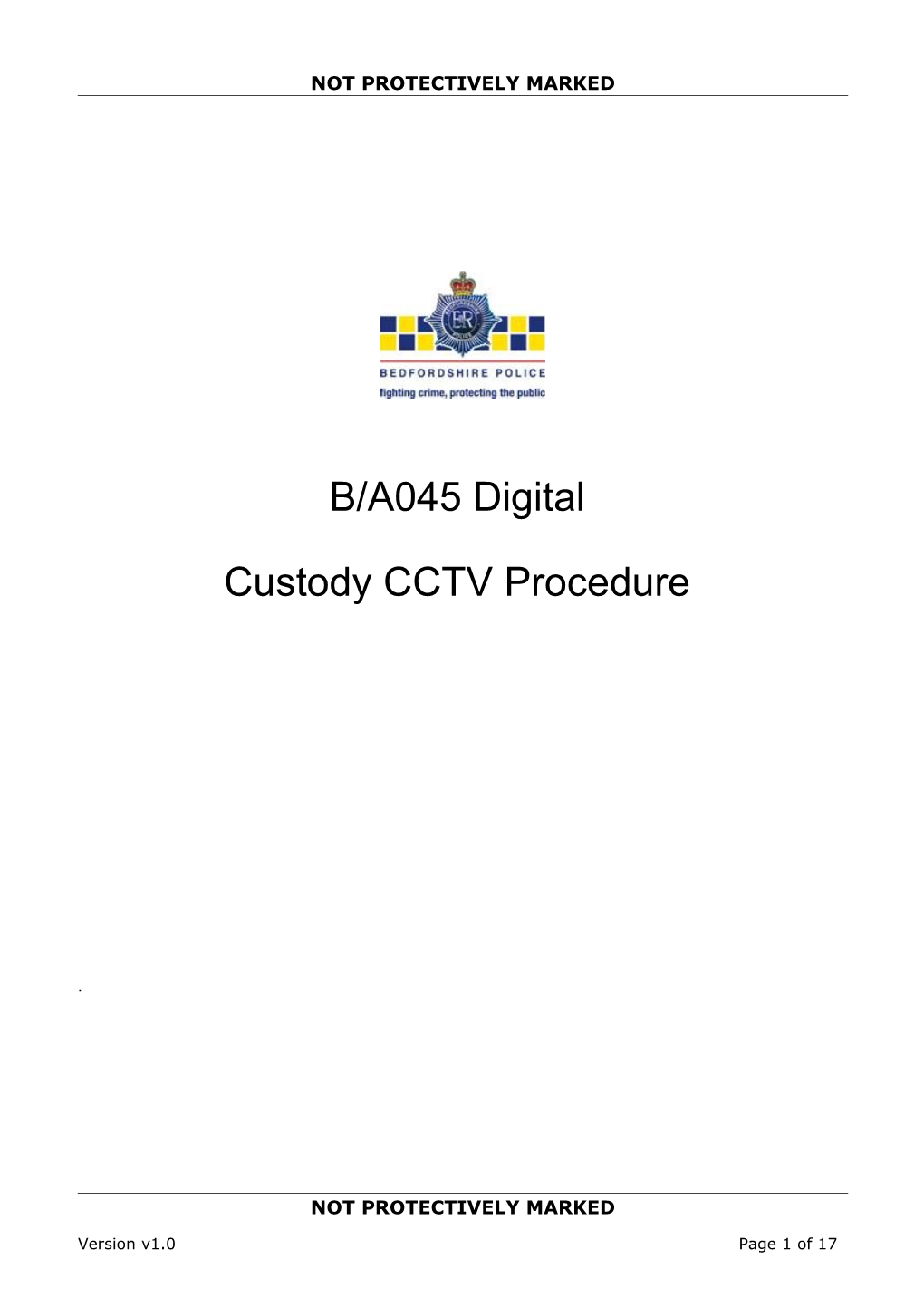 A045 Digital Custody CCTV Procedure