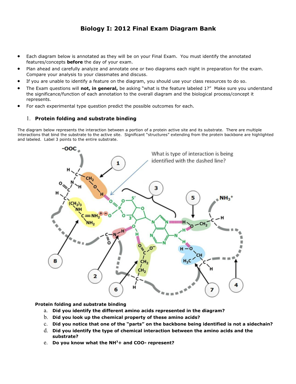 Biology I: 2012 Final Exam Diagram Bank