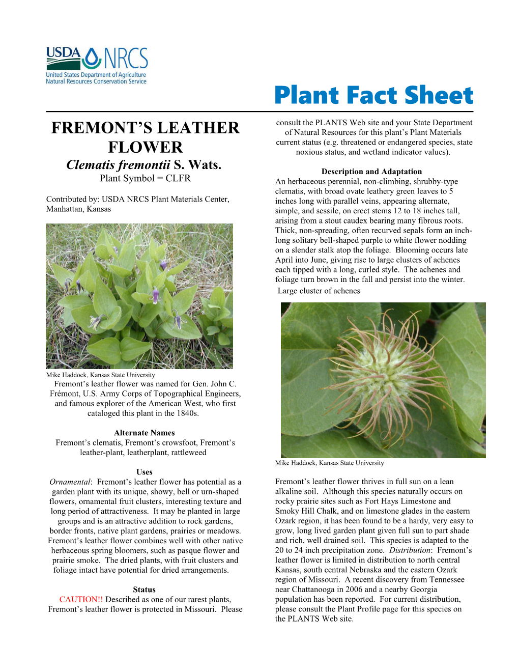 Fremont's Leather Flower Plant Fact Sheet
