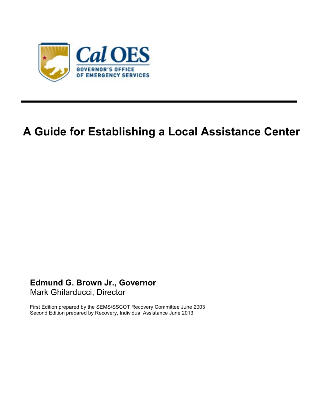 Local Assistance Center Guide for Local Government