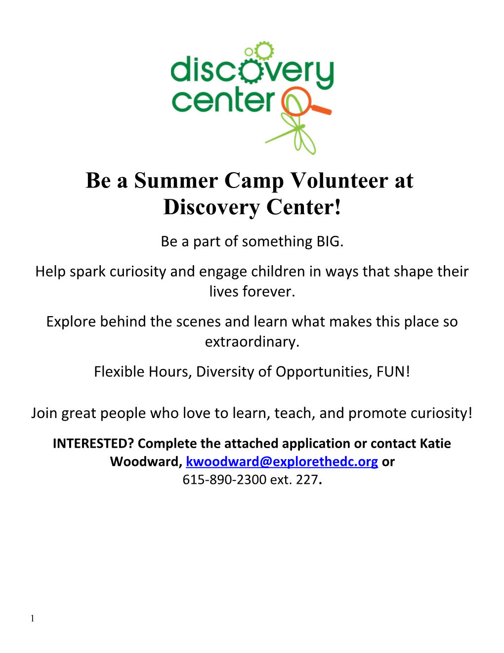 Be a Summer Camp Volunteer At