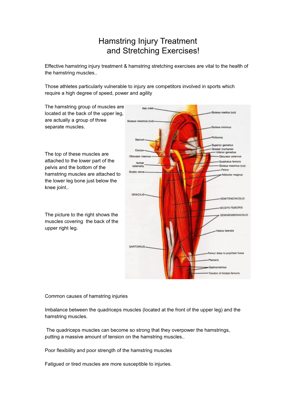 Hamstring Injury Treatment