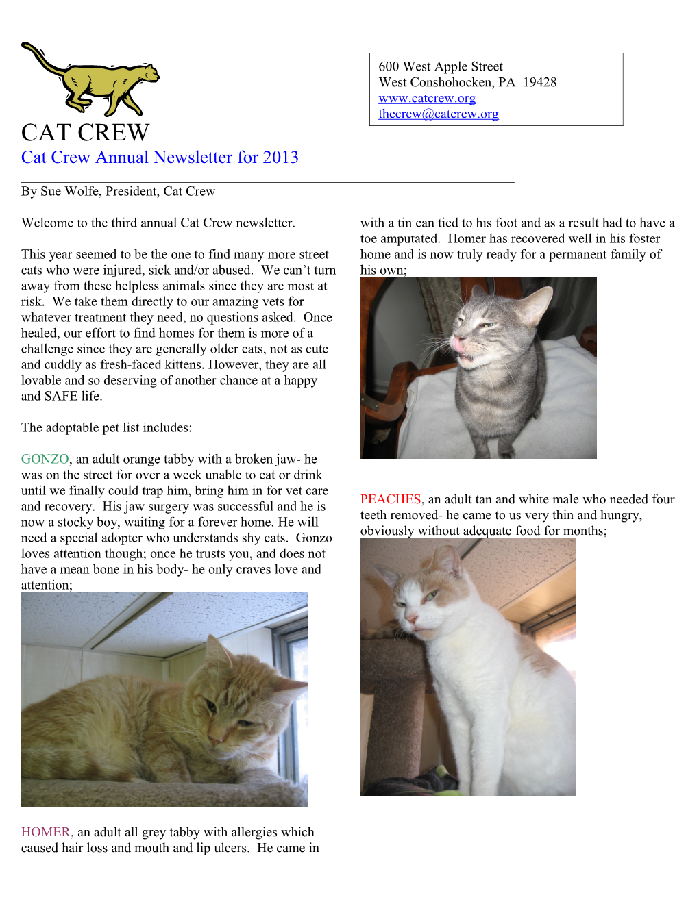 Cat Crew Annual Newsletter for 2013