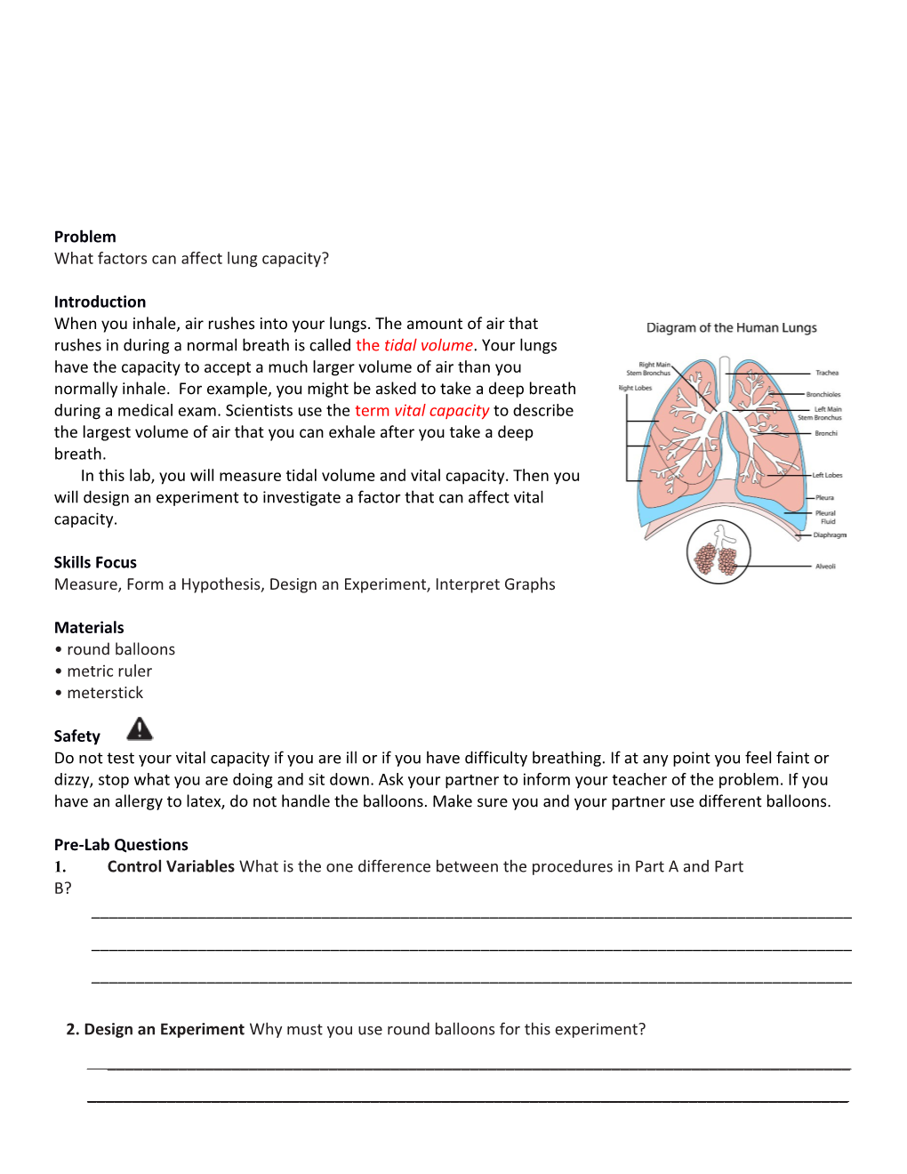 What Factors Can Affect Lung Capacity?