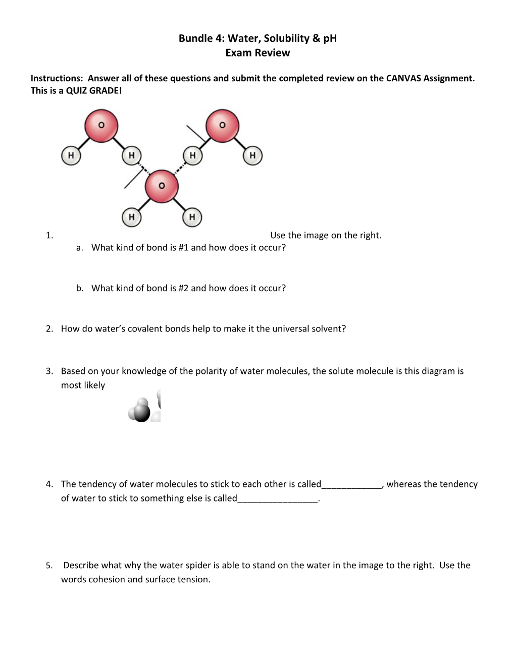 Bundle 4: Water, Solubility & Ph