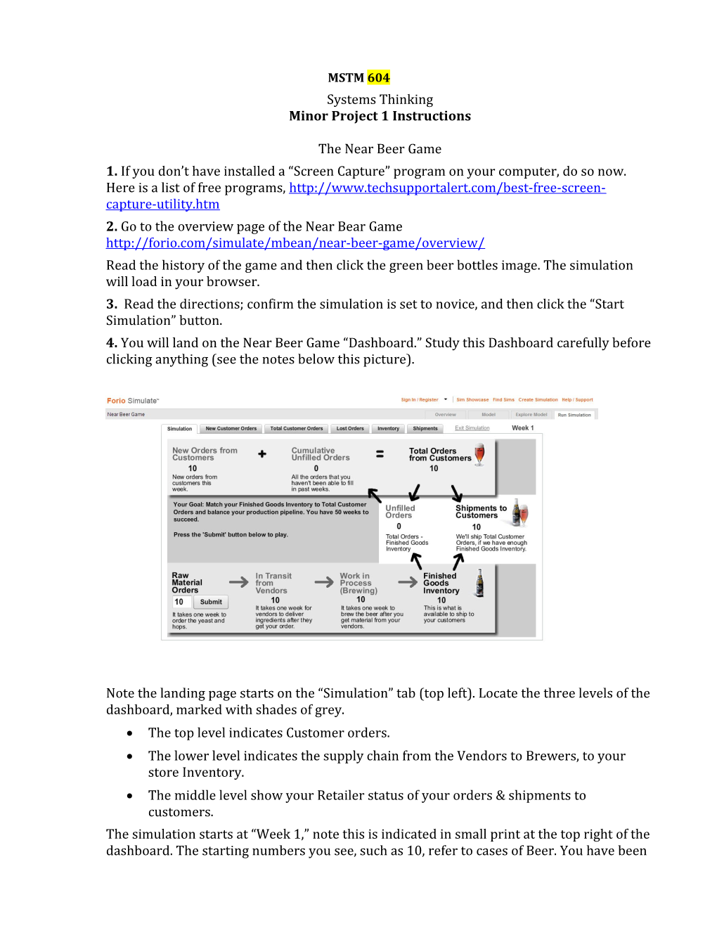 Systems Thinking Minor Project 1Instructions the Near Beer Game