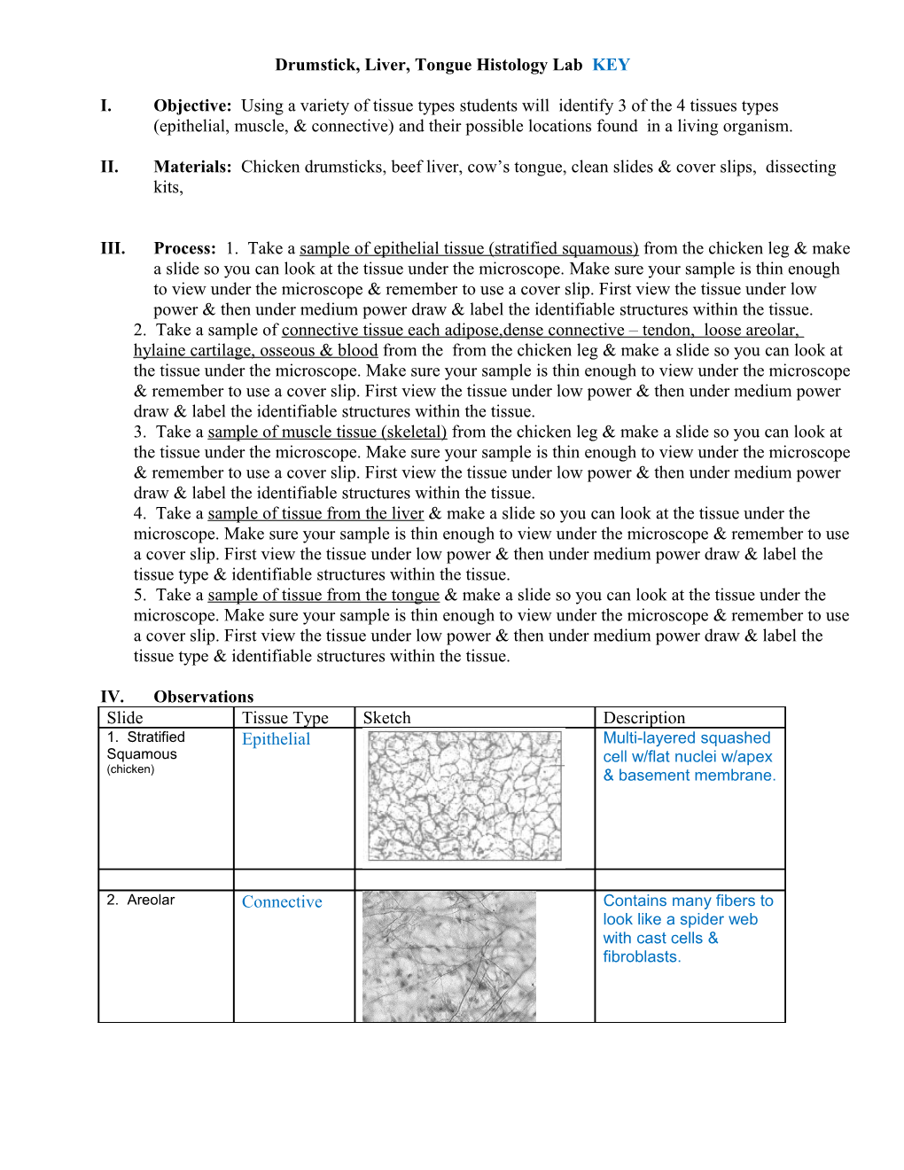 Drumstick, Liver, Tongue Histology Lab KEY