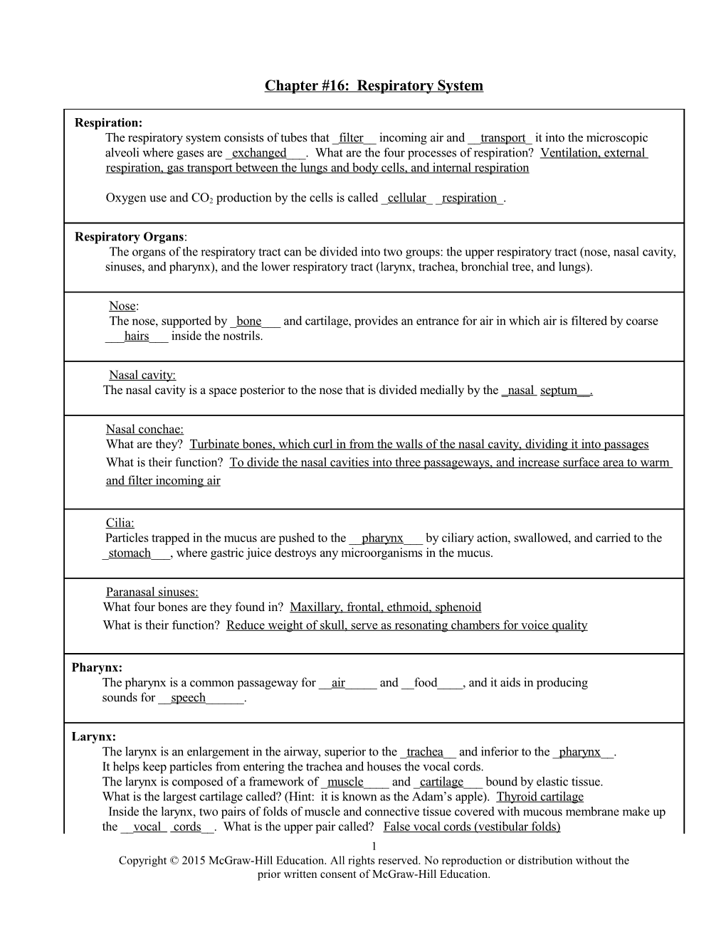 Chapter 16 - Respiratory System