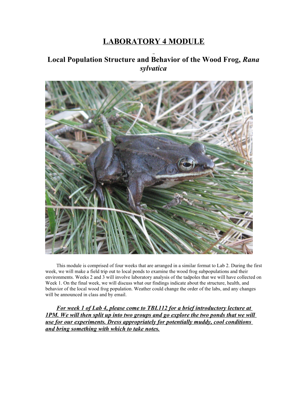 Local Population Structure and Behavior of the Wood Frog, Rana Sylvatica