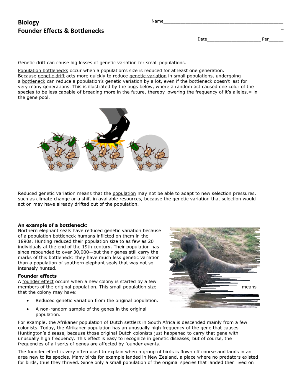 Reduced Genetic Variation from the Original Population