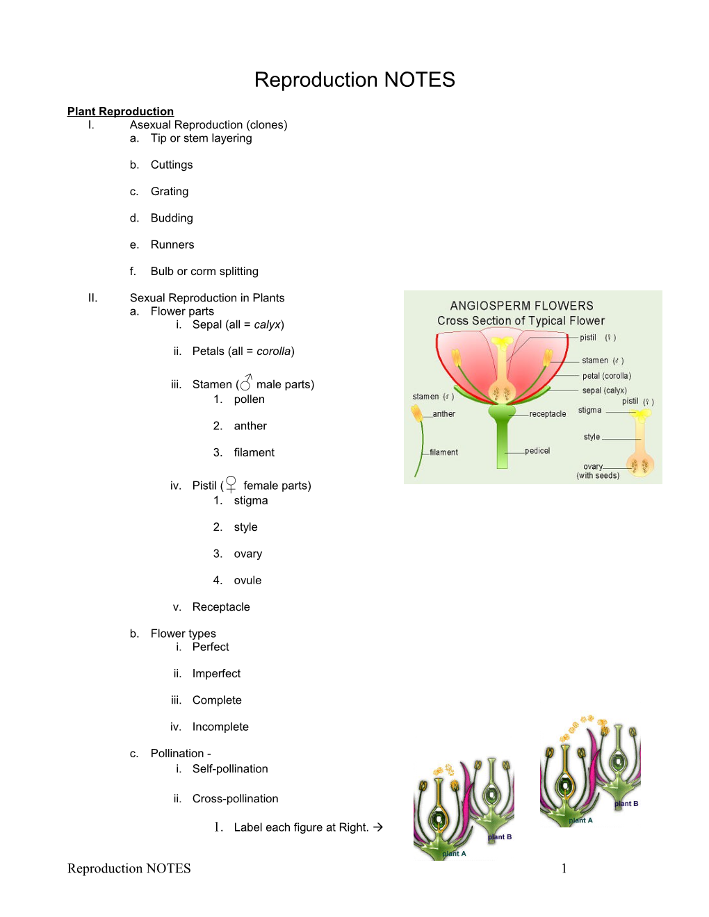 Plant Reproduction