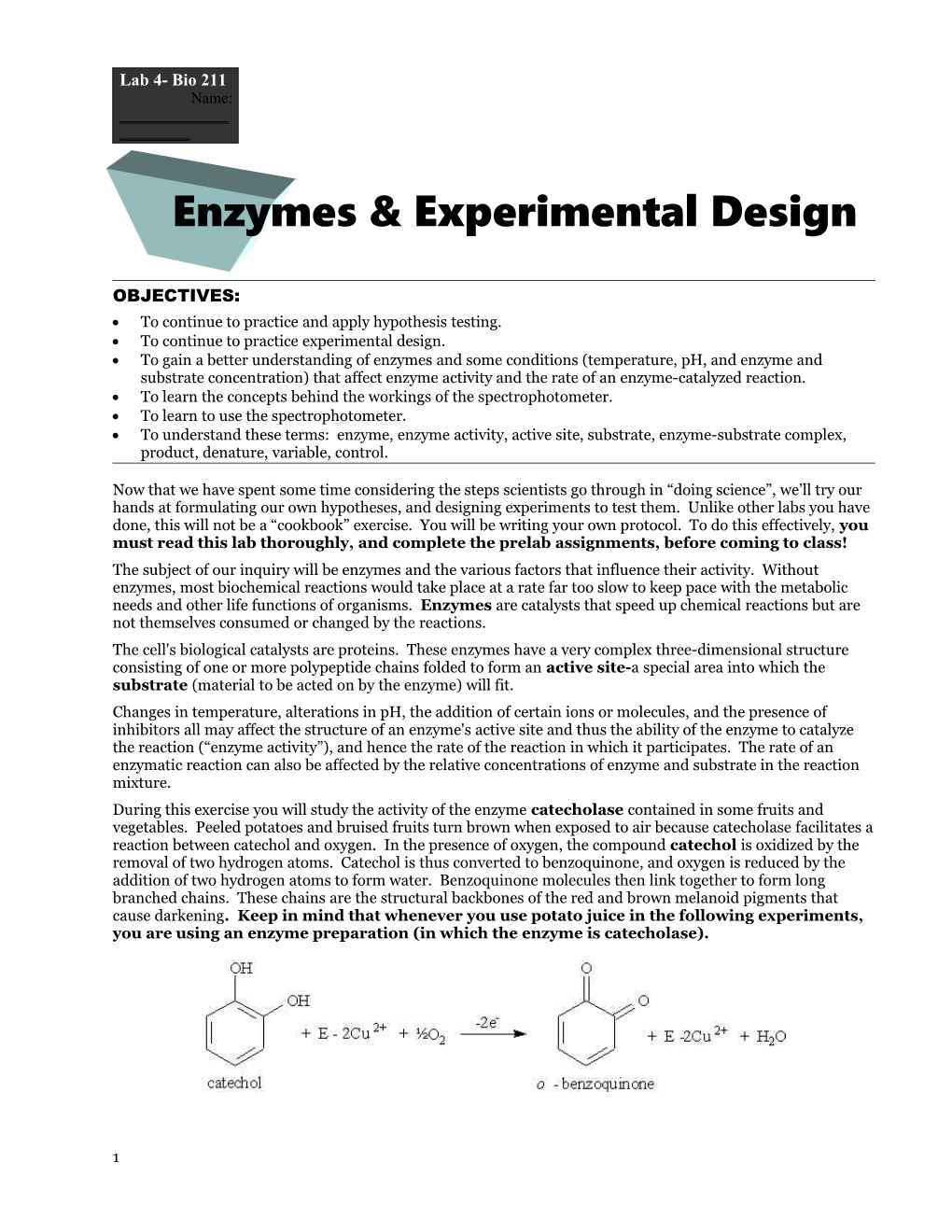Enzymes & Experimental Design