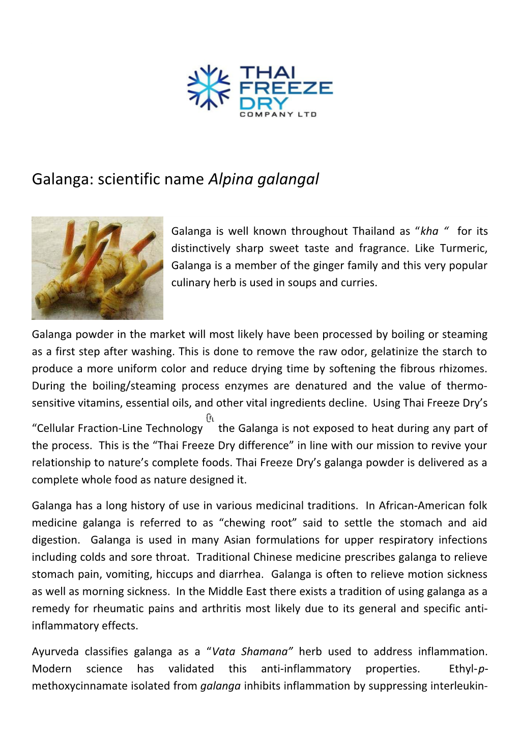 Galanga: Scientific Name Alpina Galangal