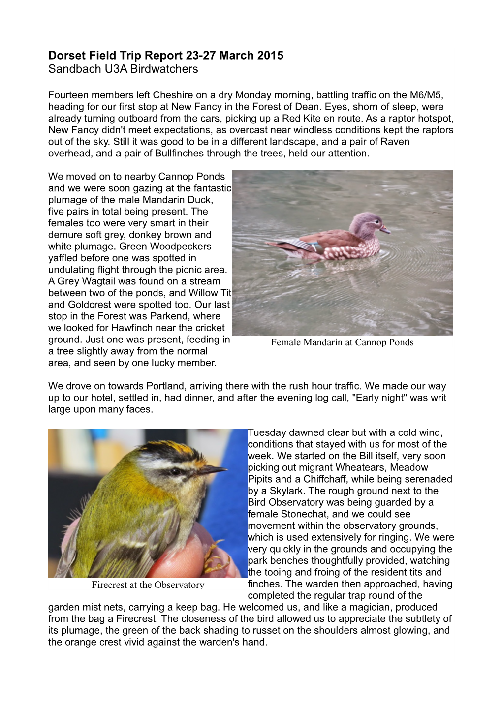 Dorset Field Trip Report 23-27 March 2015