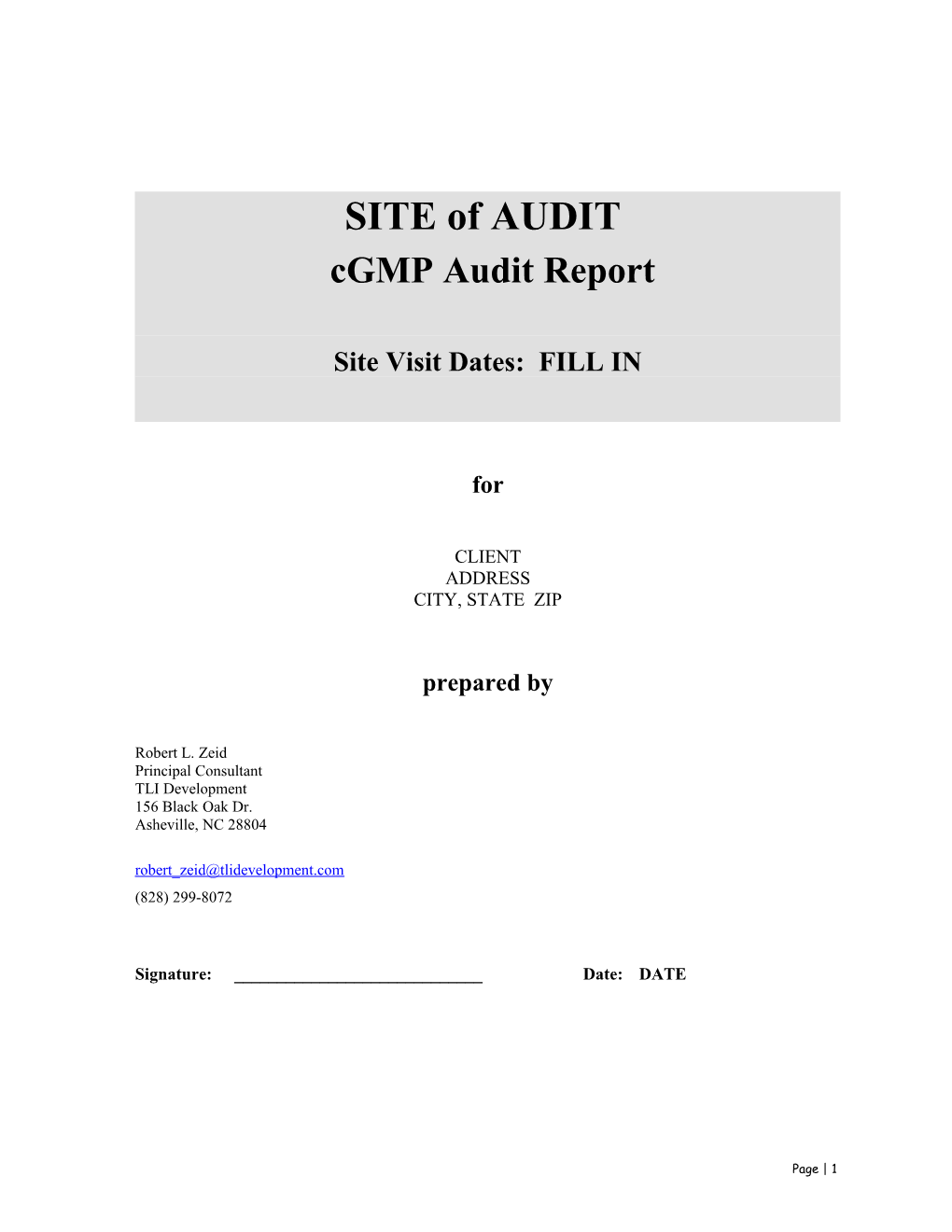 Audit Report with GMP Questionnaire