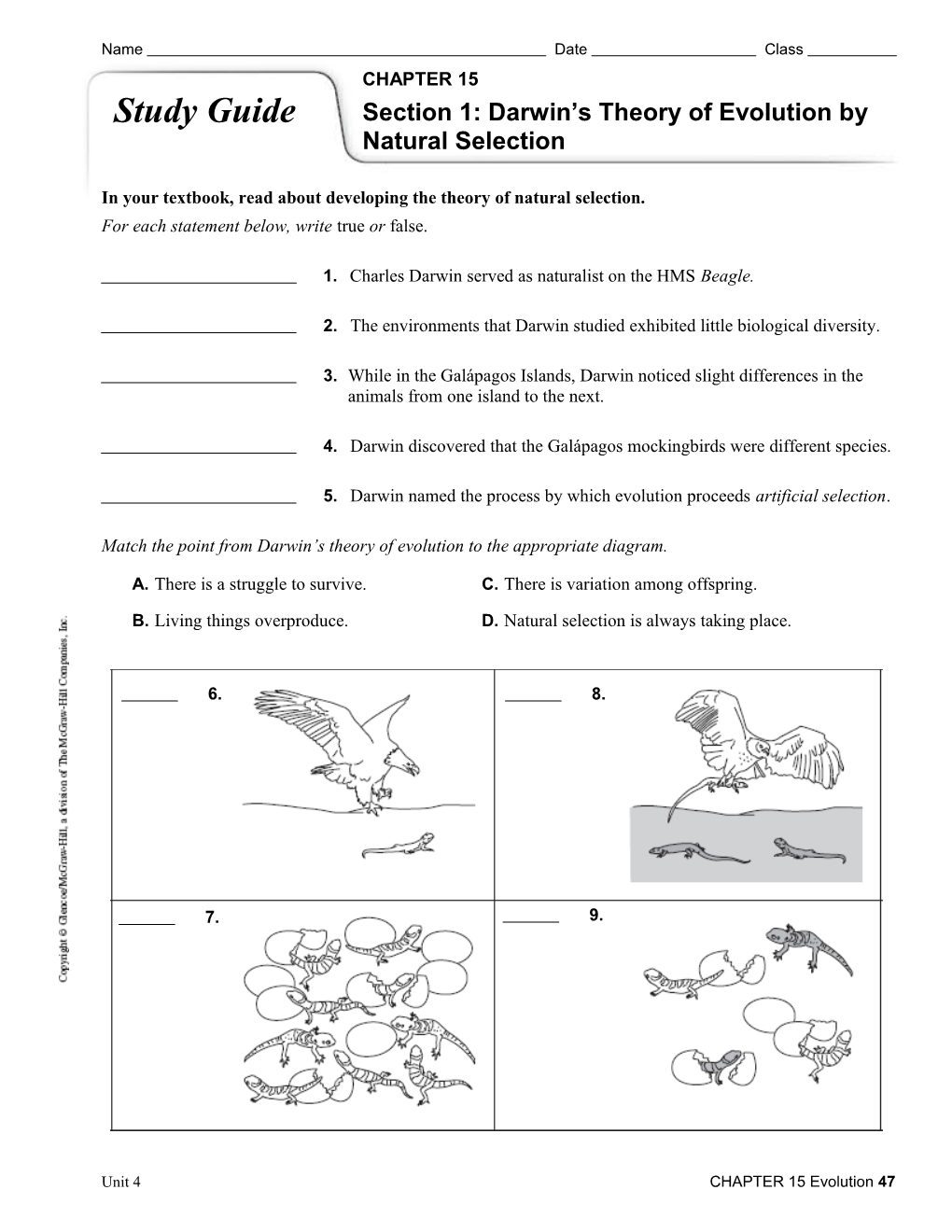 In Your Textbook, Read About Developing the Theory of Natural Selection