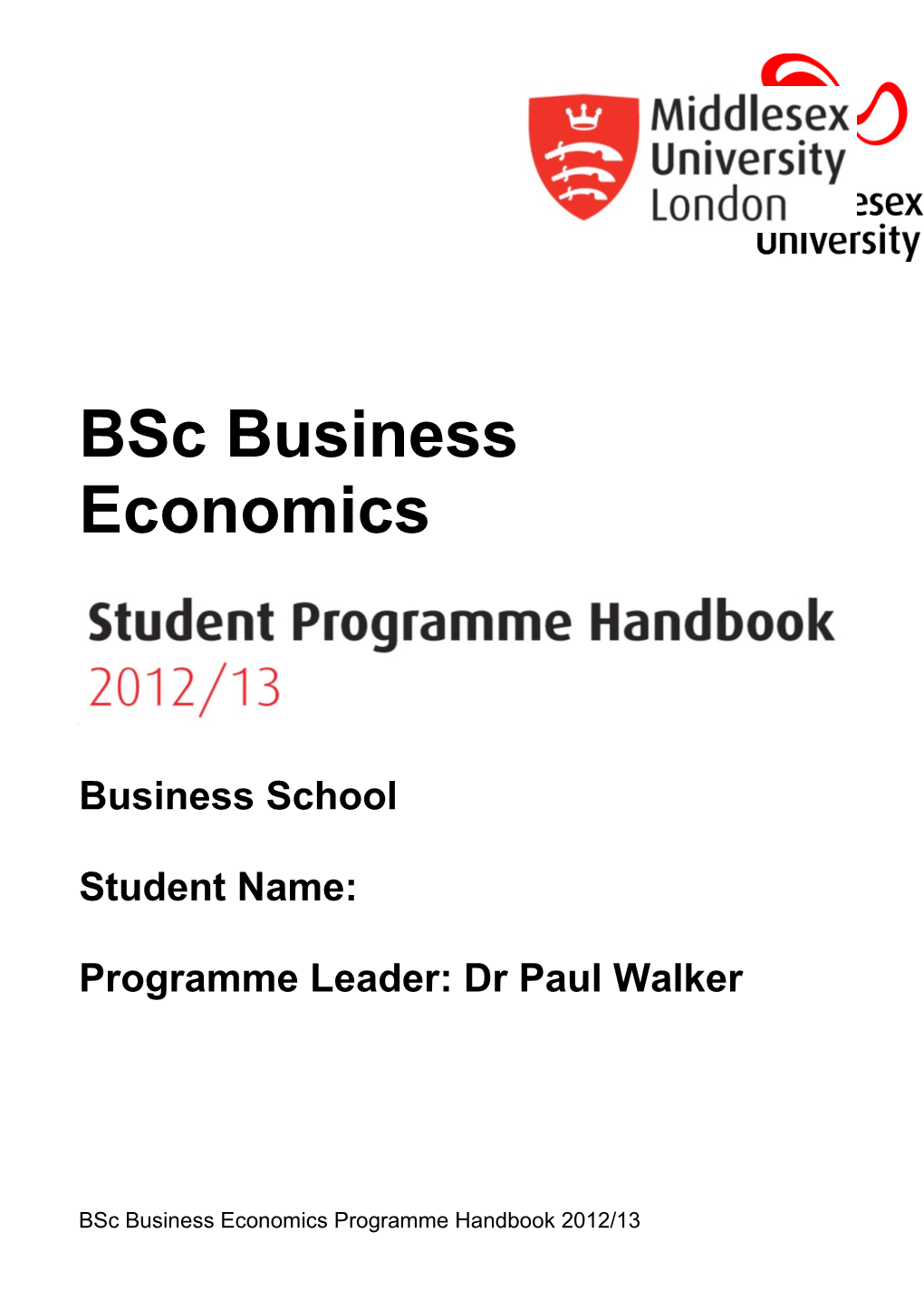 Bsc Business Economics