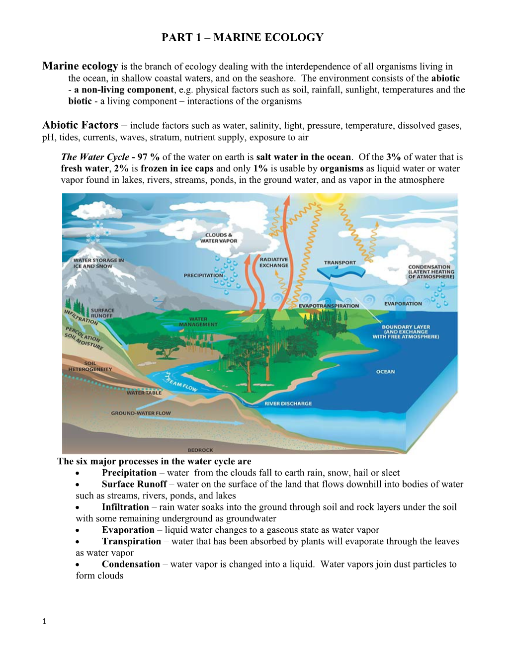 The Six Major Processes in the Water Cycle Are