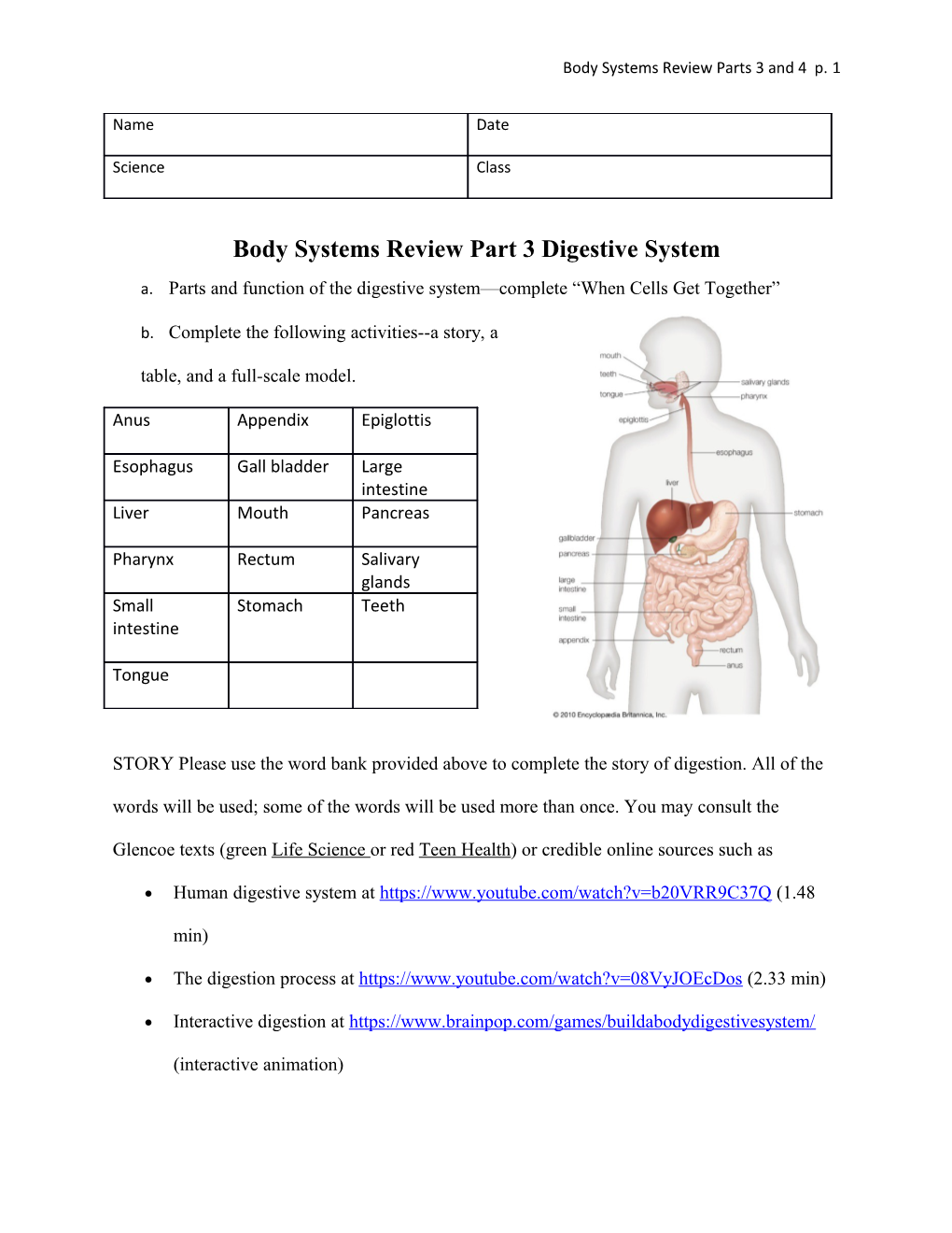Body Systems Review Part 3 Digestive System