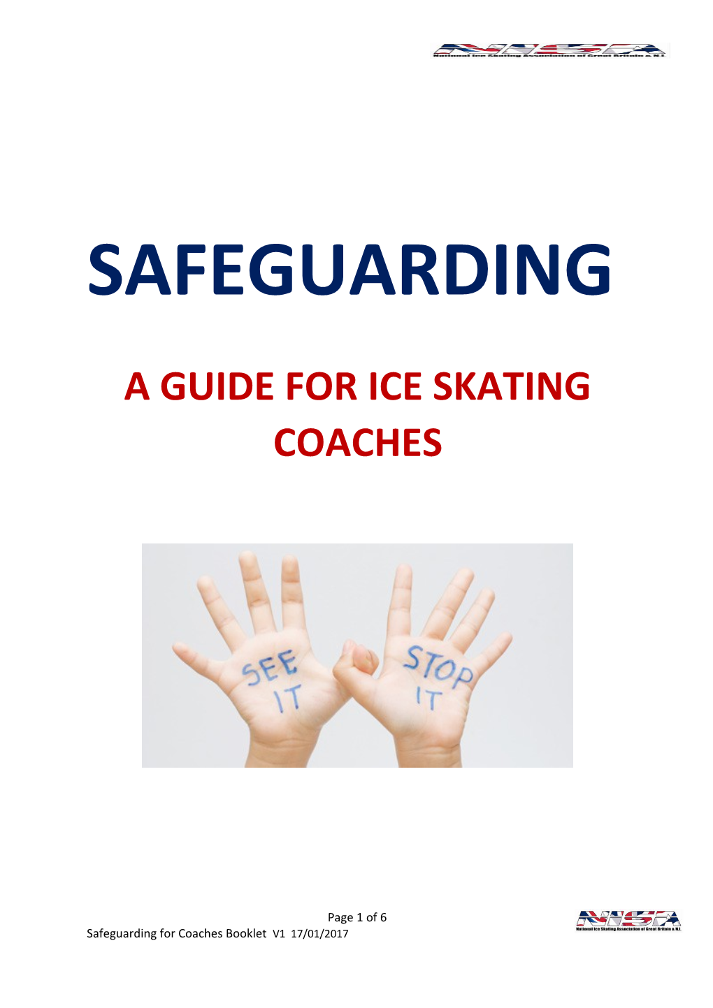 A Guide for Ice Skating Coaches