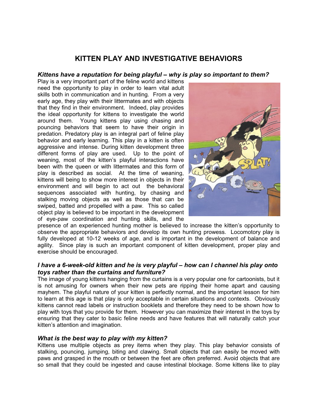 Kitten Play and Investigative Behaviors