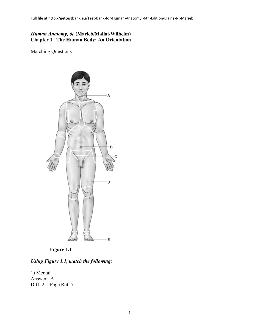 Human Anatomy, 6E (Marieb/Mallat/Wilhelm)