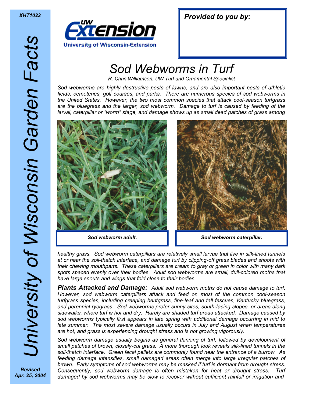 Sod Webworms in Turf