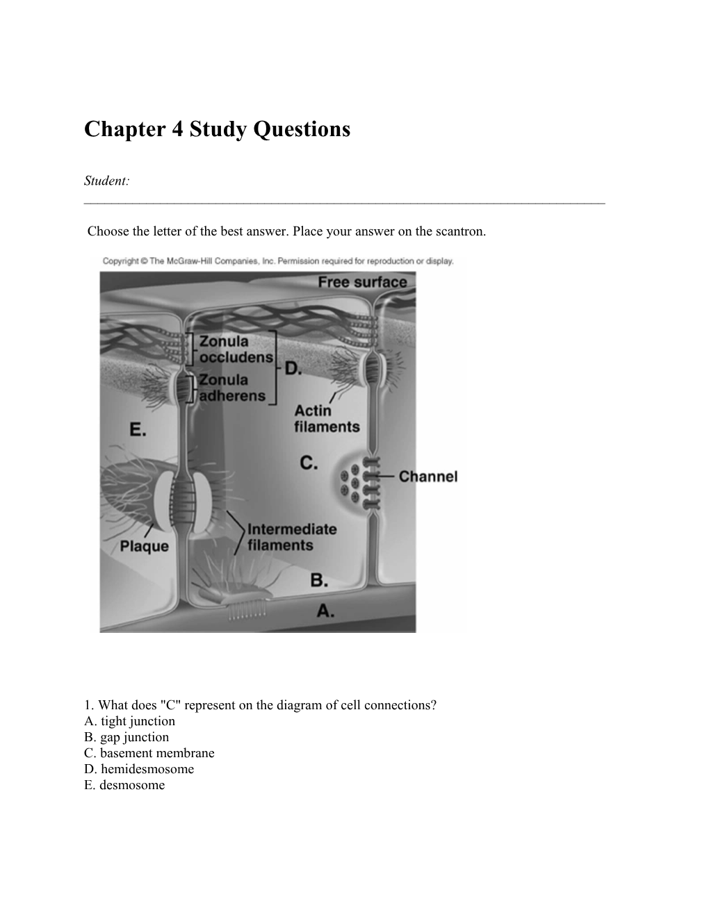 Chapter 4 Study Questions