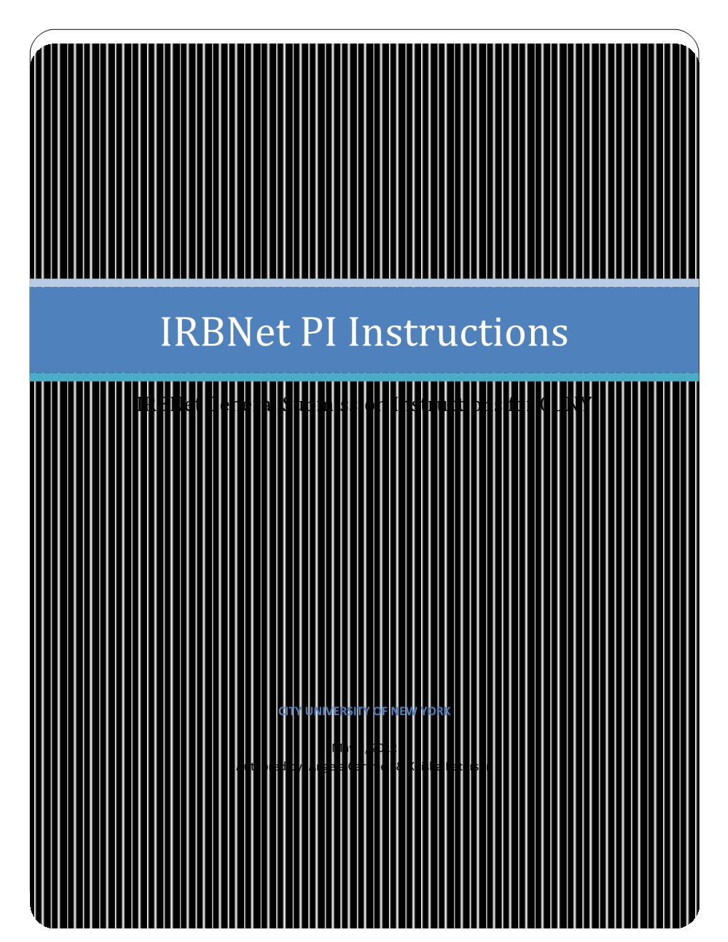 Irbnet PI Instructions