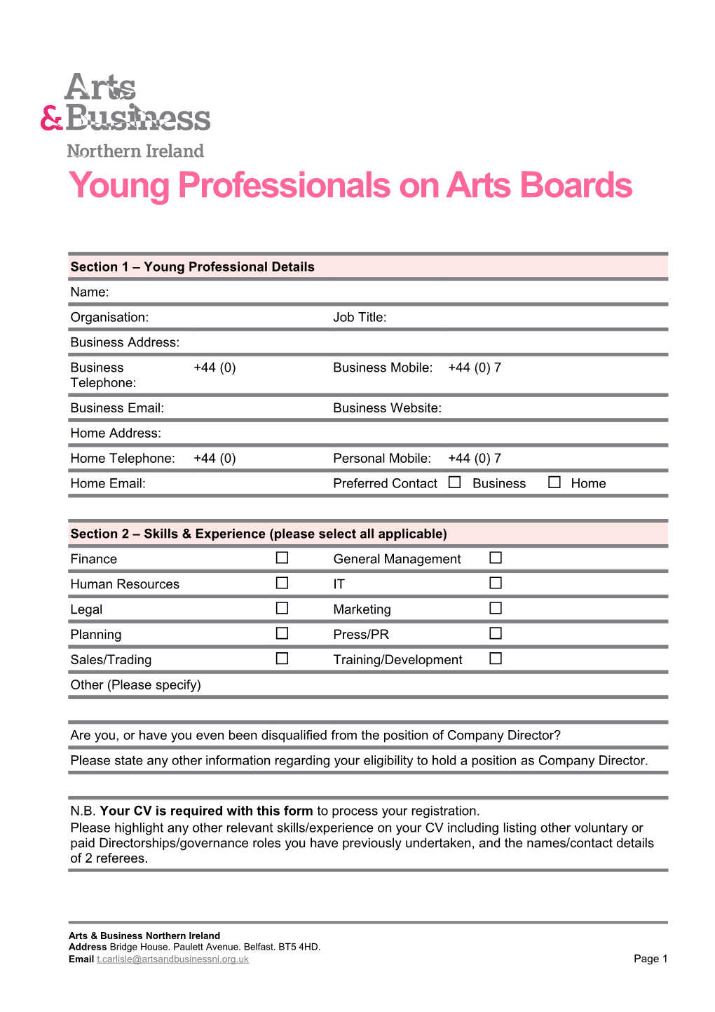 Young Professionals on Arts Boards
