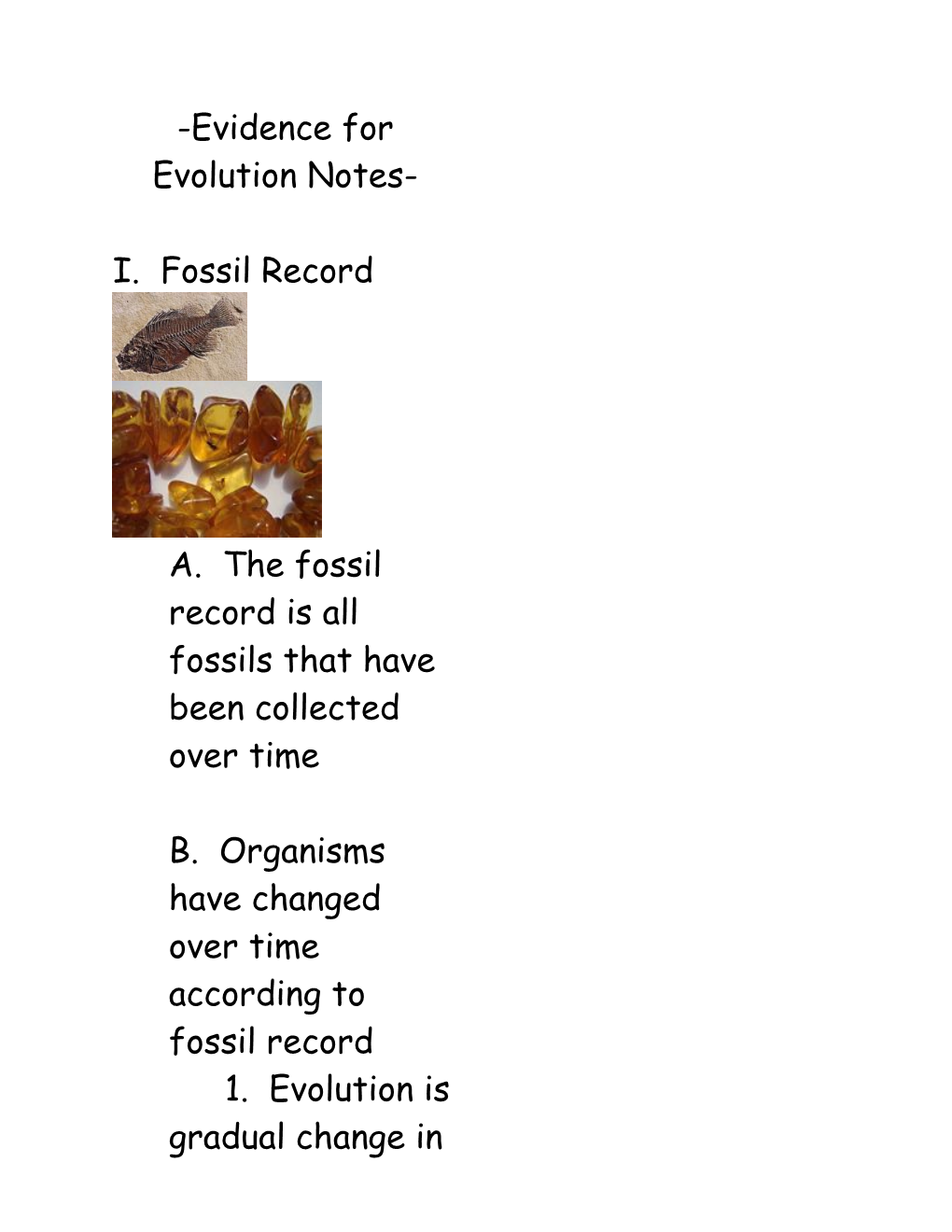 5 -Evidence for Evolution Notes