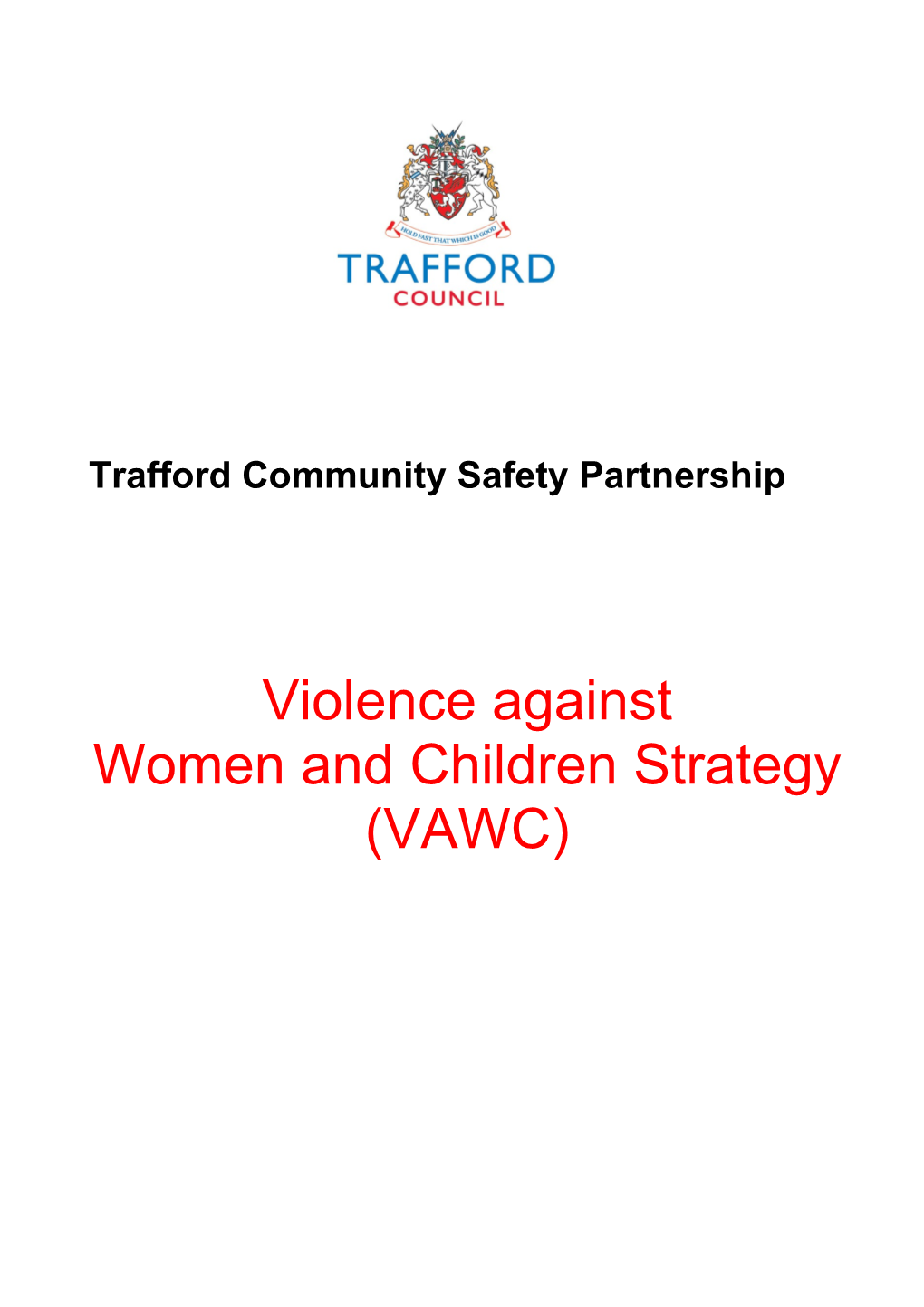 Definition of Violence Against Women and Girls (VAWG)