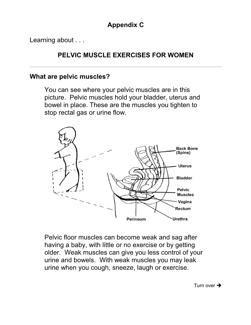 Pelvic Muscle Exercises for Women