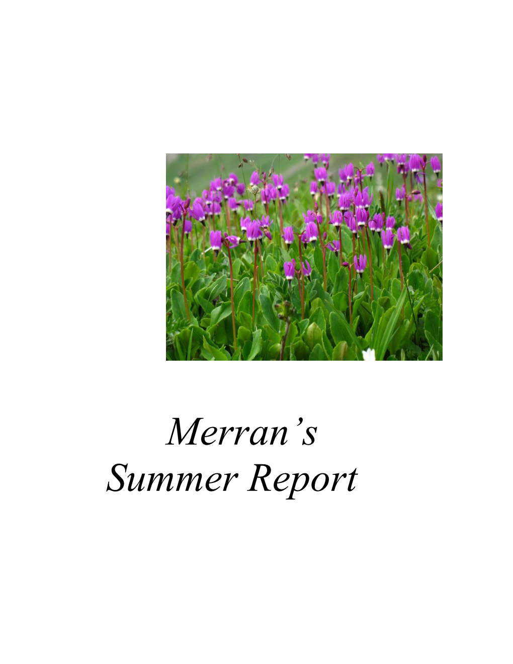 Merran S Summer Report