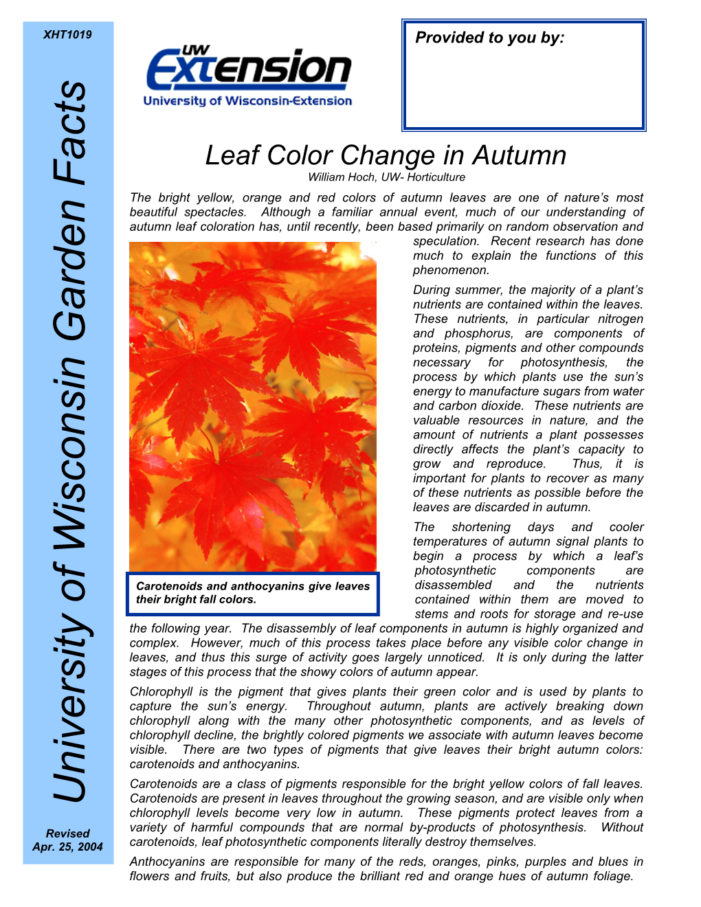Leafcolor Change in Autumn