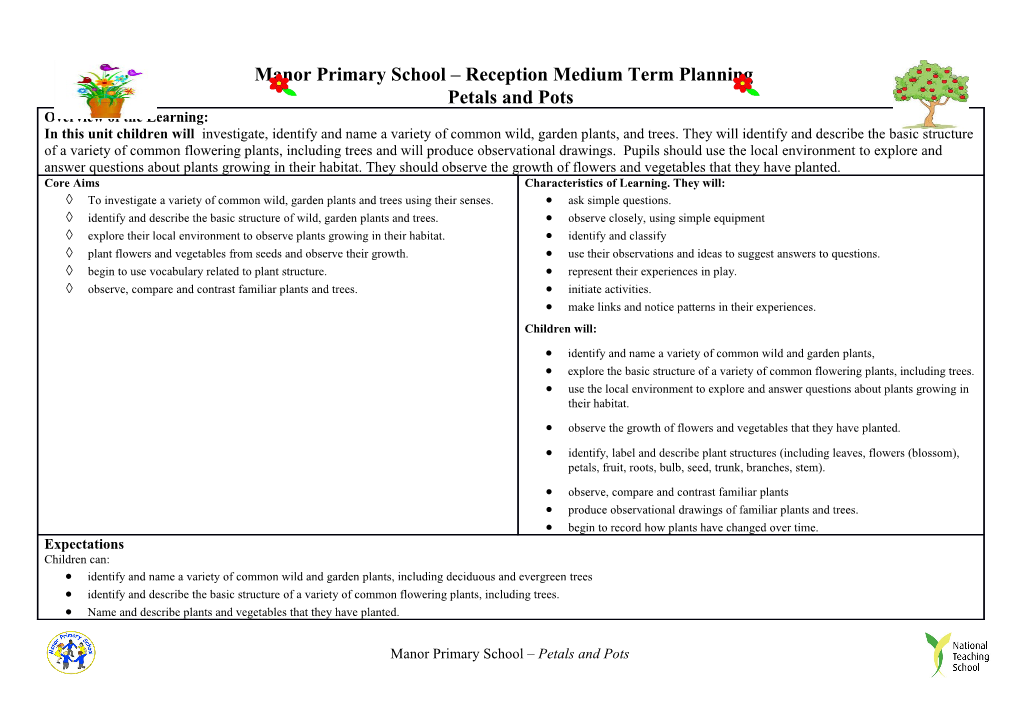 Manor Primary School Reception Medium Term Planning