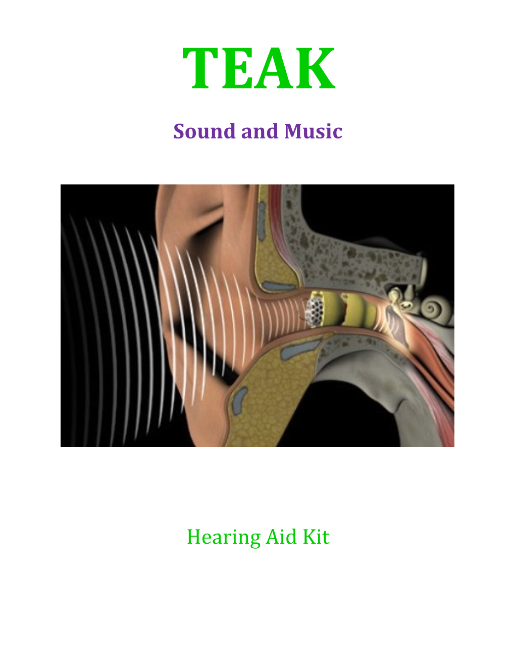 Hearing Aid Kit