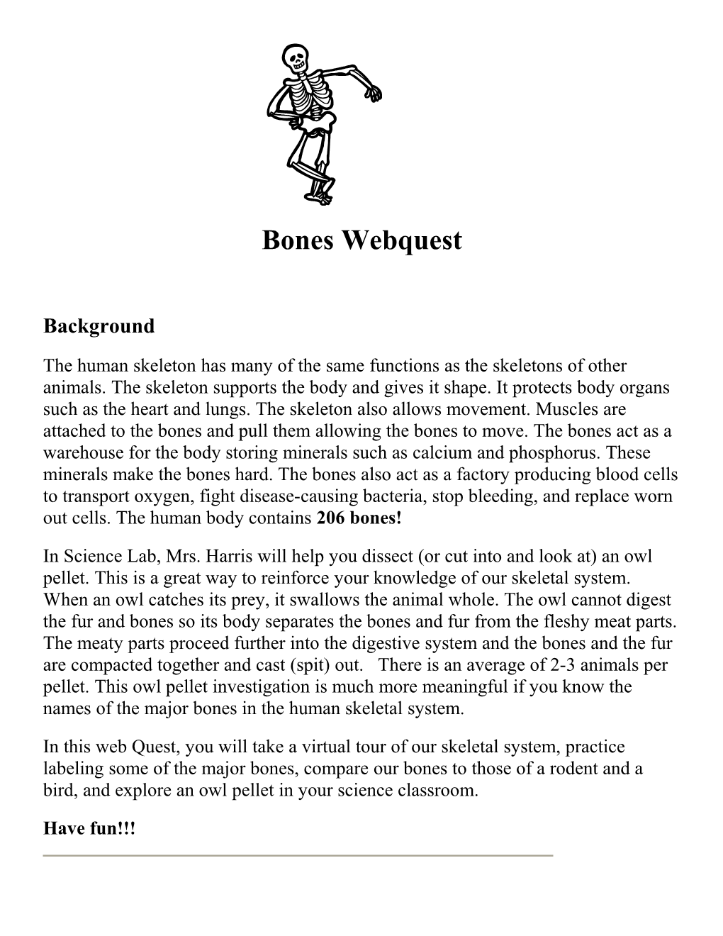 Bones Webquest