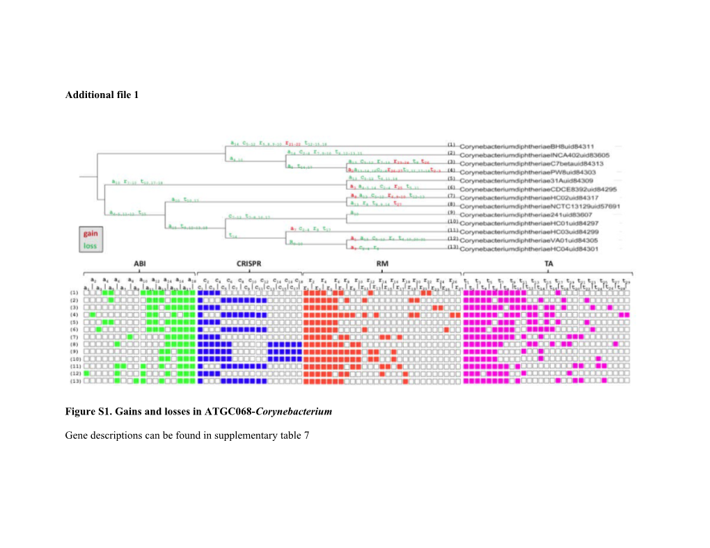 Figure S1. Gains and Losses in ATGC068-Corynebacterium