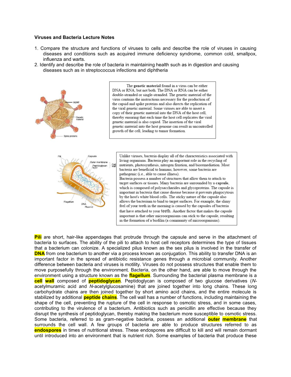 Viruses and Bacteria Lecture Notes