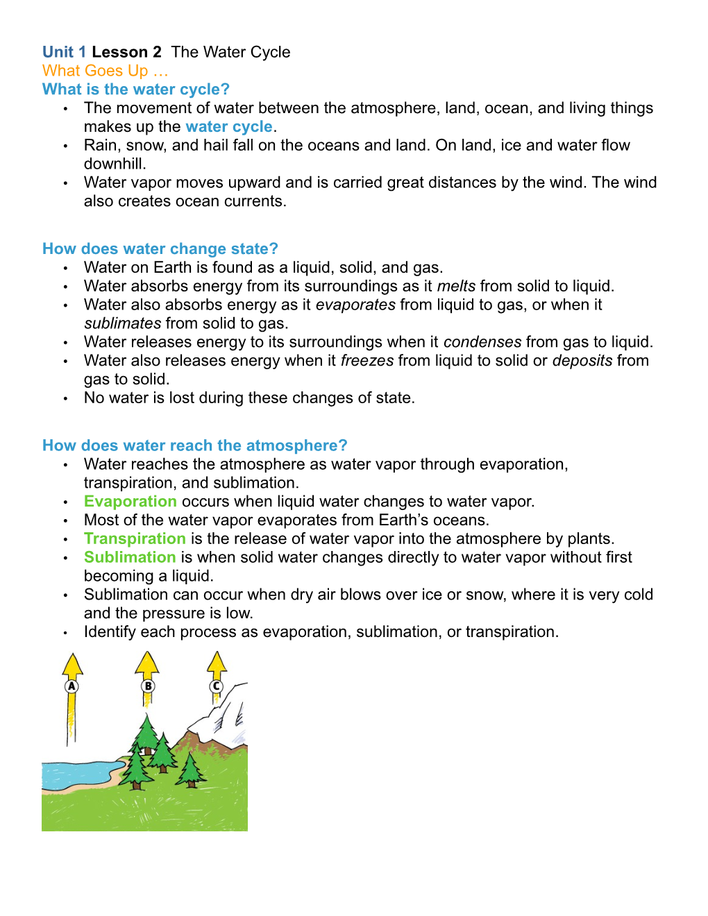 What Is the Water Cycle?