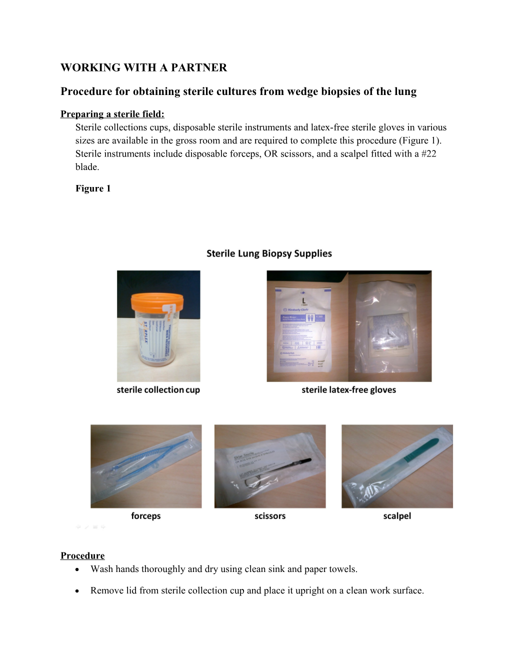 Procedure for Obtaining Sterile Cultures from Wedge Biopsies of the Lung