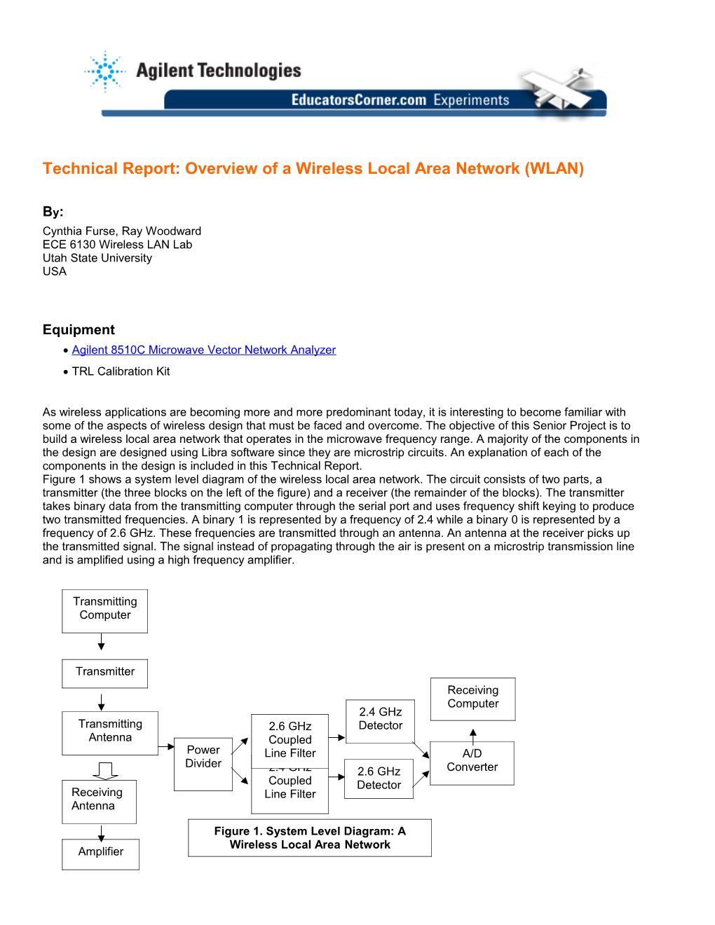 Technical Report: Overview of a Wireless Local Area Network (WLAN)