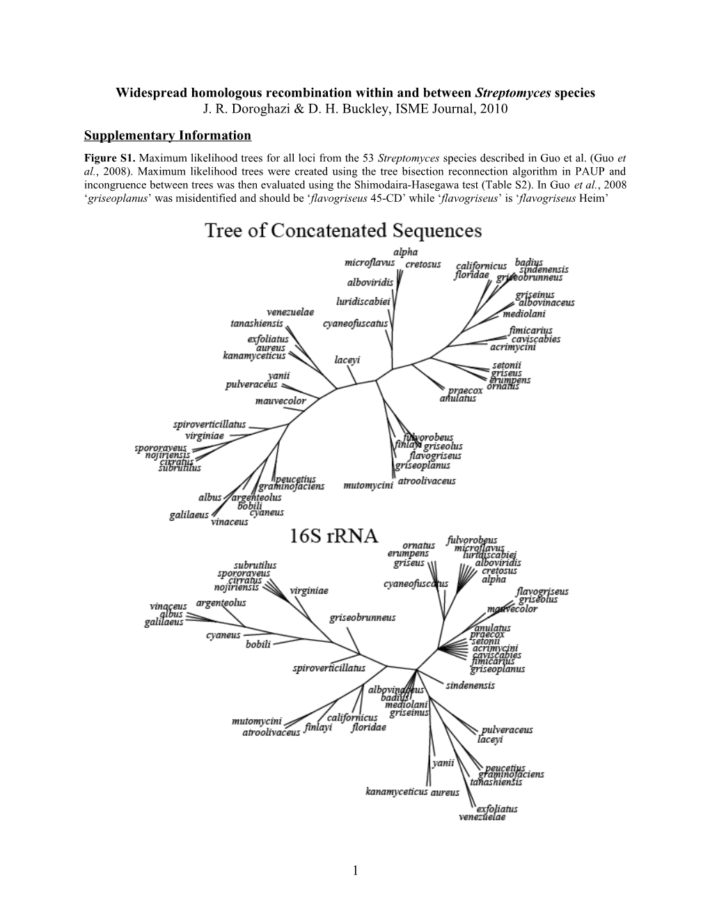 Widespread Homologous Recombination Within and Between Streptomyces Species