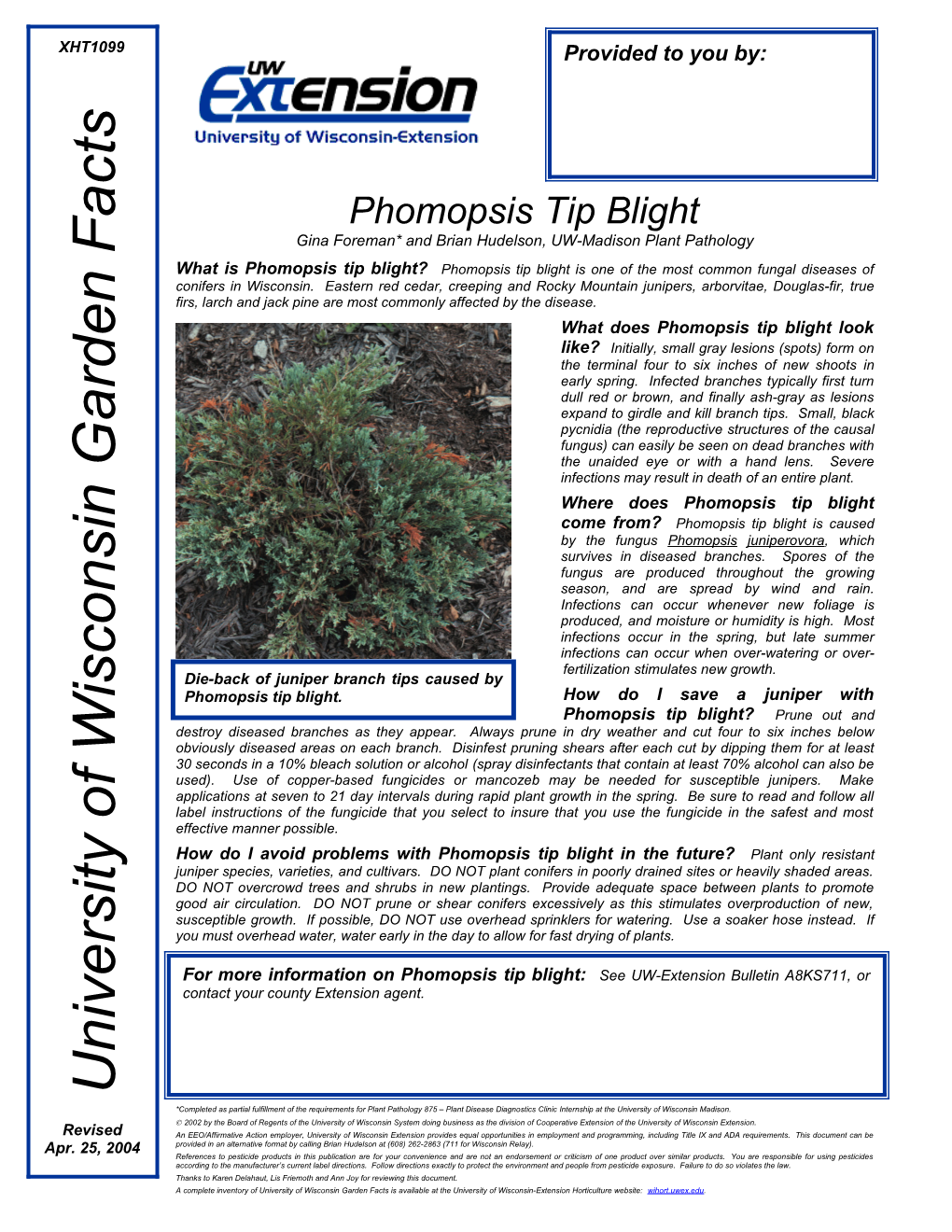 Phomopsis Tip Blight