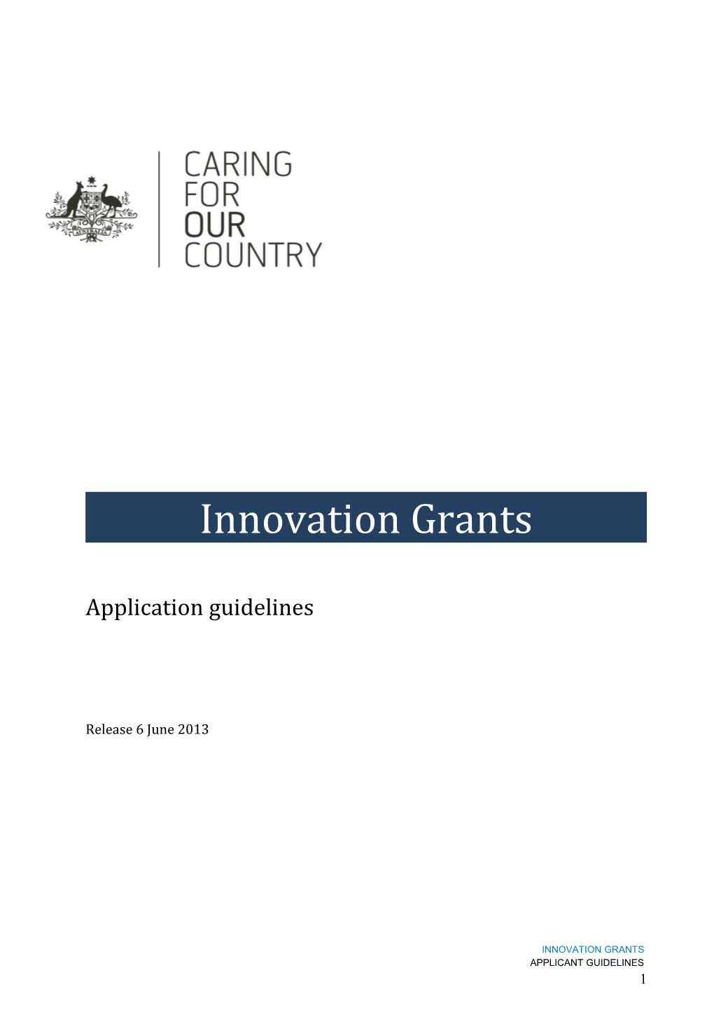 Innovation Grants Applicant Guidelines