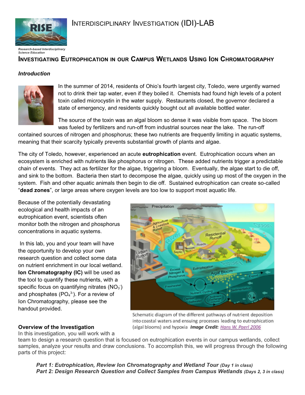 Investigating Eutrophication in Our Campus Wetlands Using Ion Chromatography