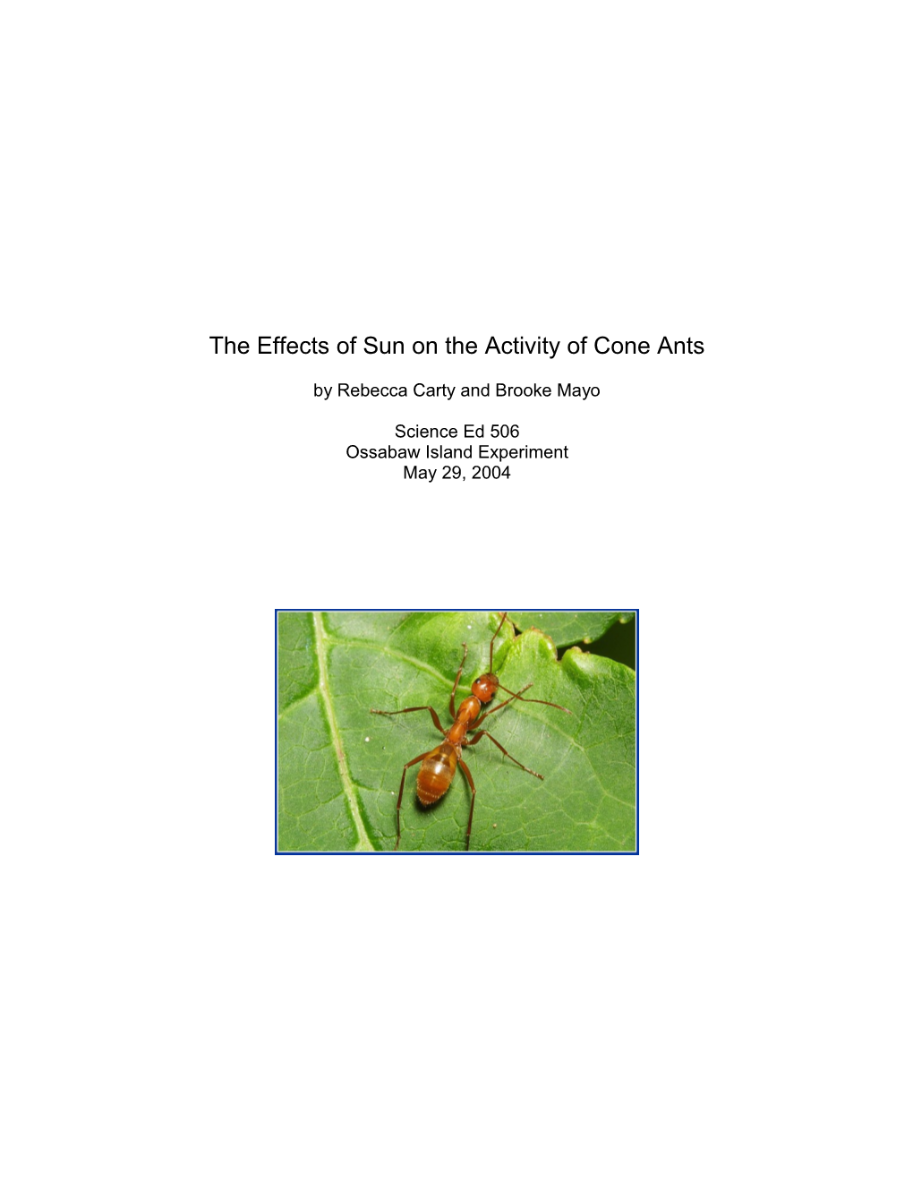 The Effects of Sun on the Activity of Cone Ants