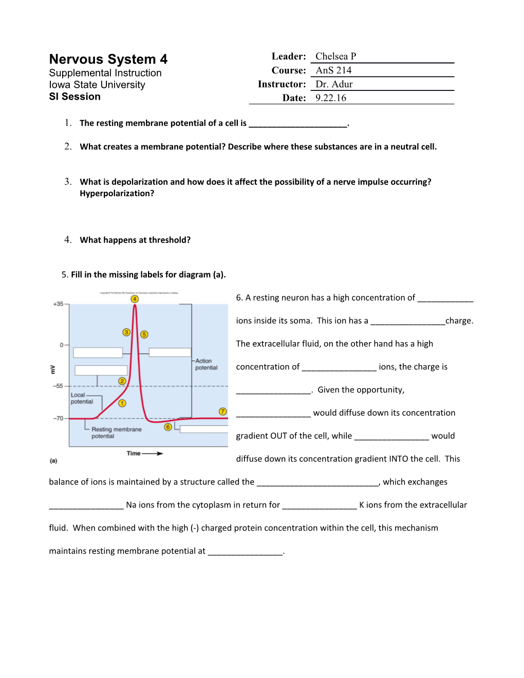 The Resting Membrane Potential of a Cell Is ______